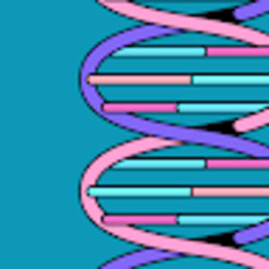 Meet your Posher, Nyna